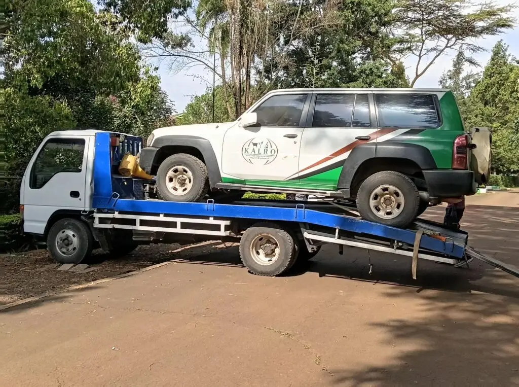 Towing services in Tatu